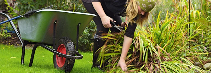 Person schneidet Pflanzen mit Schere